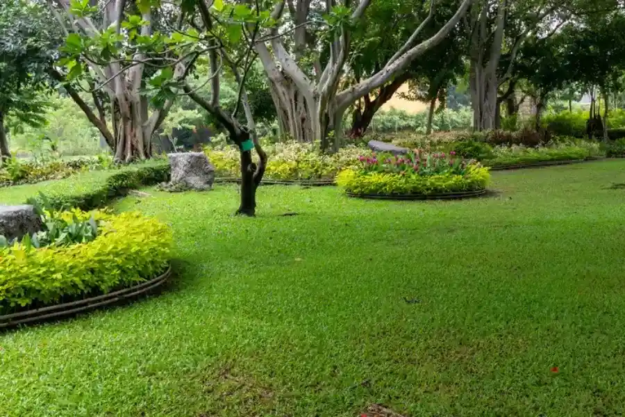 Premium Landscape Maintenance Lakeland, FL